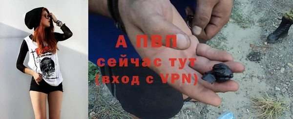 ешки Дмитровск