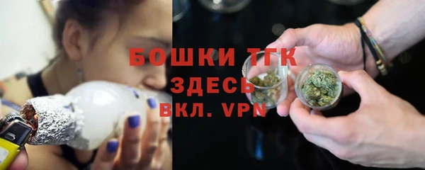 ешки Дмитровск