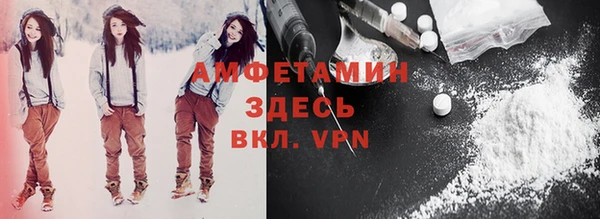 ГАЛЛЮЦИНОГЕННЫЕ ГРИБЫ Гусев