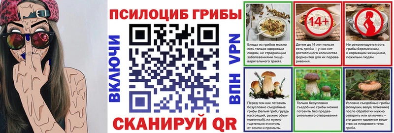 площадка какой сайт  закладки  Находка  Псилоцибиновые грибы ЛСД 